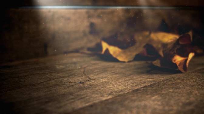 Amber_Leaf_16x9.jpg