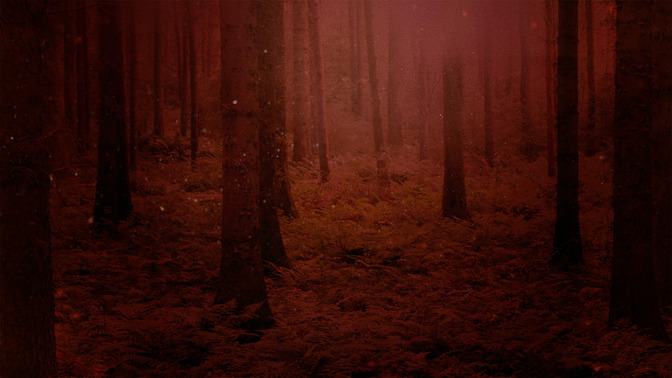 Fall_Twilight_-_Welcome_16x9-BACKGROUND#preset=tg_bg.jpg