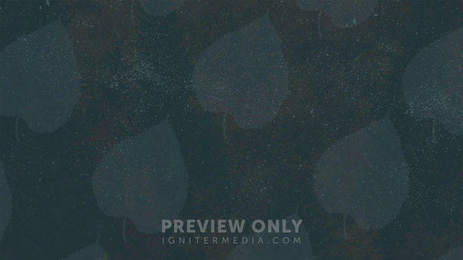 Give_Online-WIDE#preset=tg_alt2.jpg