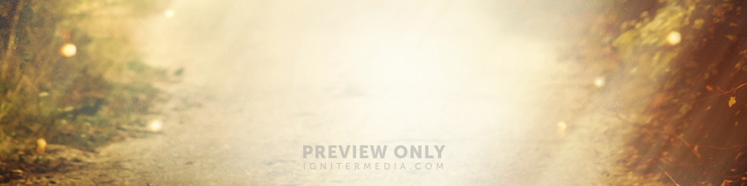 Light_Road_MS_1920x480.jpg