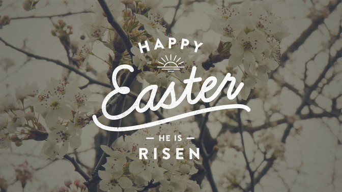 blossoms - happy easter