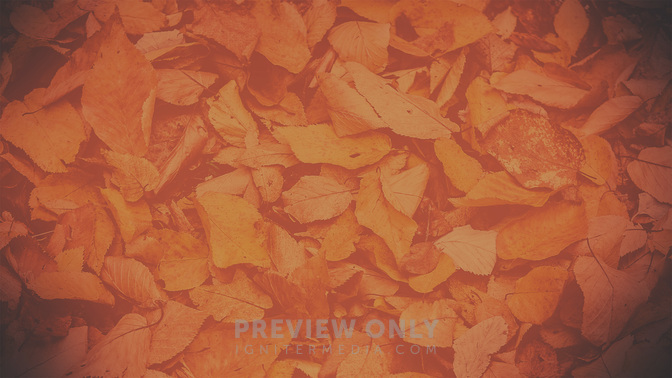 Autumn_Colors-Take_Care_WIDE-BACKGROUND#preset=tg_bg.jpg