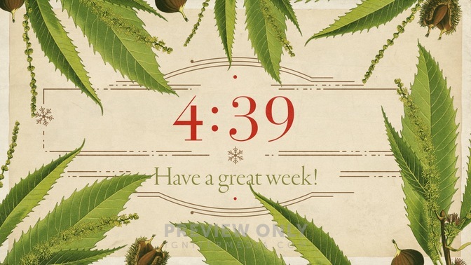 Christmas_Botanical_Countdown_HD.jpg