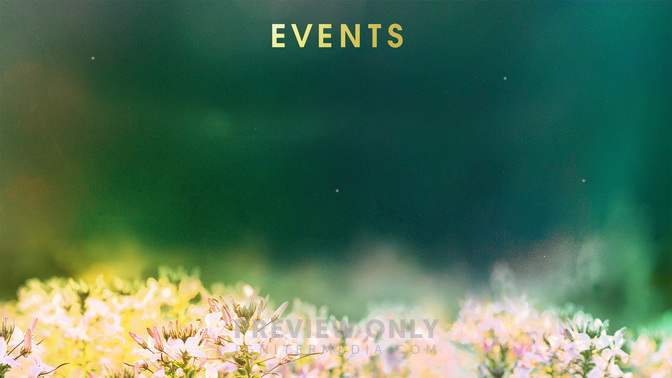 Events_Fields_of_Bloom_WIDE-CONTENT-2#preset=tg_alt2.jpg