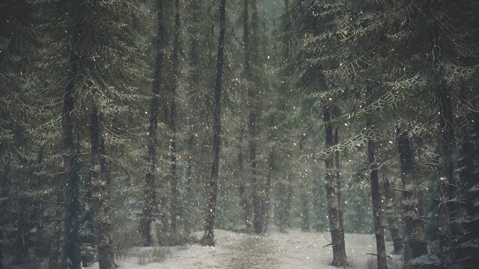 winter wonderland 4