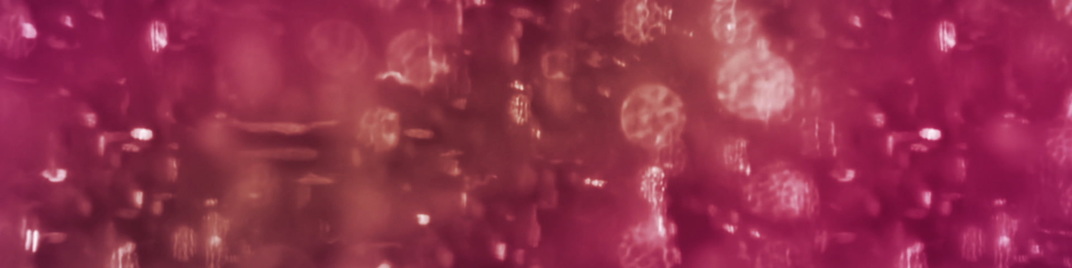 Streaked_Bokeh_Pink_MS_1920x480.jpg