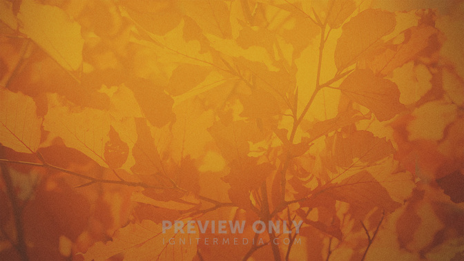 Fall_Outreach_WIDE-BACKGROUND#preset=tg_bg.jpg