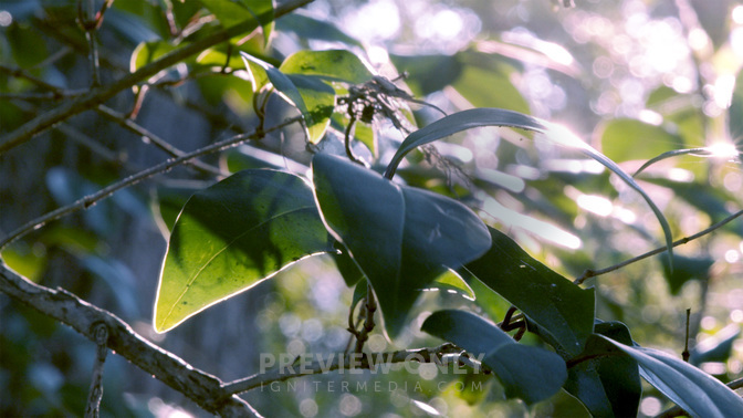 Offering-WIDE#preset=tg_title3.jpg