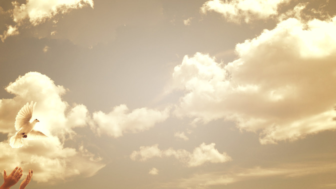 Grace_Givers_16x9-CONTENT-3#preset=tg_alt3.jpg