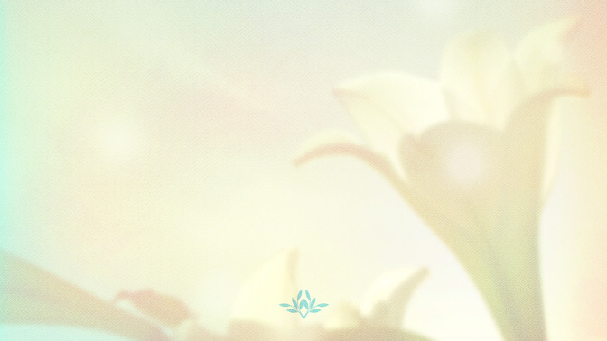 Lilies_-_Welcome_To_Church_16x9-BACKGROUND#preset=tg_bg.jpg