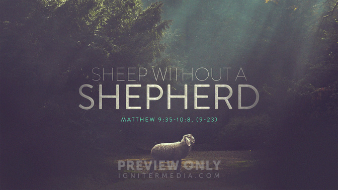 Sheep_Without_A_Shepherd_WIDE-TITLE-1#preset=tg_title1.jpg