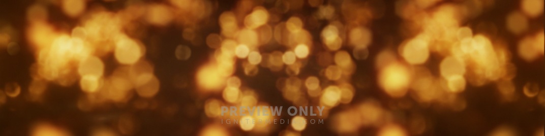Bush_Bokeh_Gold_MS_1920x480.jpg