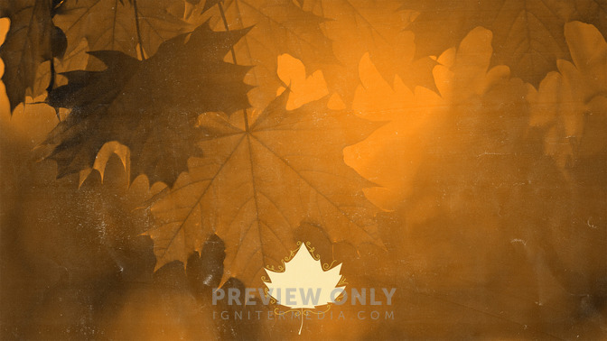 Leaf_Silhouettes_-_Events_16x9-BACKGROUND#preset=tg_bg.jpg