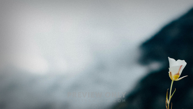 To_Be_WIDE-BACKGROUND#preset=tg_bg.jpg