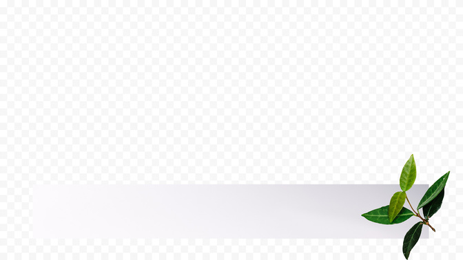 FruitoftheSpirit_FruitoftheSpirit_L3_TH_FruitoftheSpirit_WIDE#preset=tg_transparent_png_preview.jpg