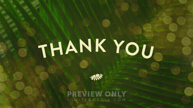 Palm_Bokeh_-_Thank_You_16x9-TITLE-2#preset=tg_title2.jpg