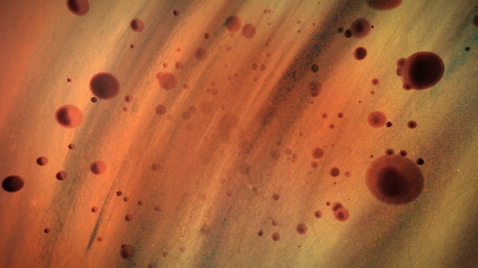 colordrops - brown green