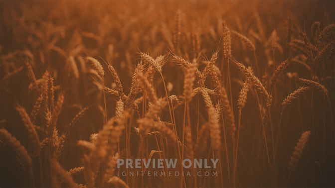 Harvest_Is_Here_WIDE-BACKGROUND#preset=tg_bg.jpg