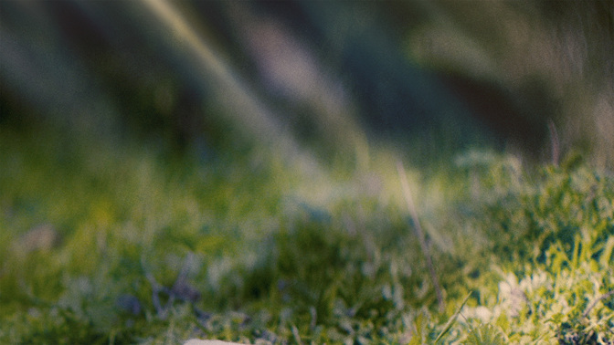 Easter-WIDE#preset=tg_alt2.jpg