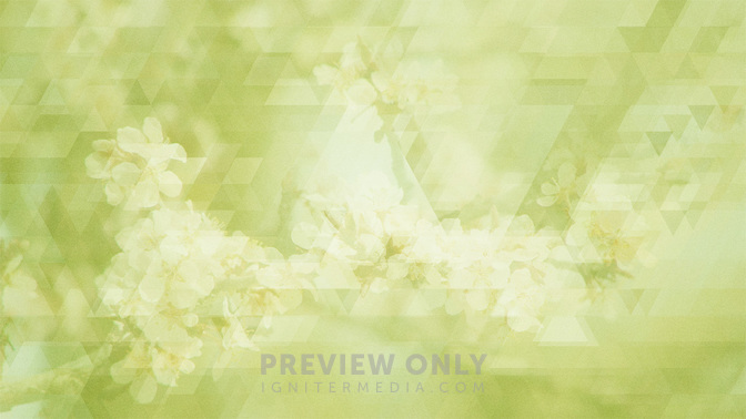 Spring_Shapes_-_Green_16x9.jpg