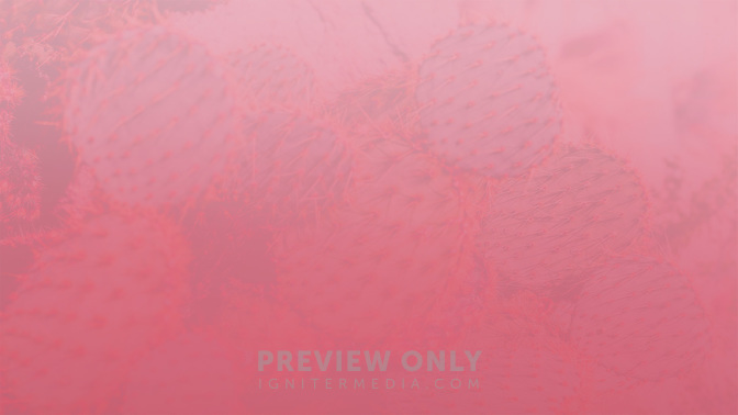 Womens_Conference-WIDE#preset=tg_alt2.jpg