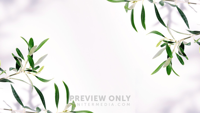 FruitoftheSpirit_FruitoftheSpirit_TT3_Welcome_WIDE#preset=tg_title3.jpg