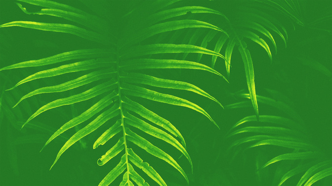 Palm_Sunday_WIDE-BACKGROUND#preset=tg_bg.jpg