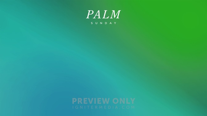 Palm-WIDE#preset=tg_alt1.jpg
