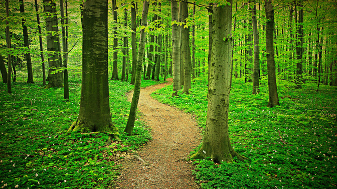 The_Way_of_Wisdom_16x9-TITLE-3#preset=tg_title3.jpg