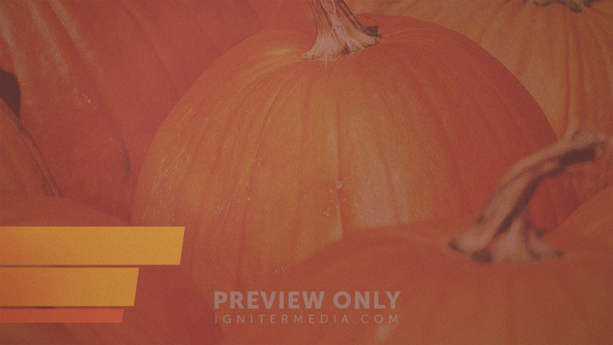 Pumpkin_Patch_16x9-CONTENT-3#preset=tg_alt3.jpg