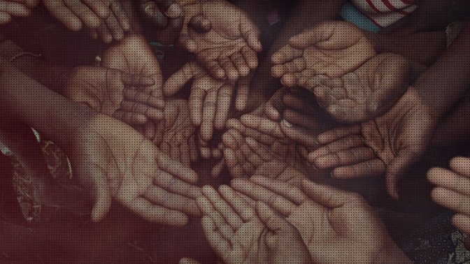 The_Tenderness_of_Compassion_16x9-TITLE-3#preset=tg_title3.jpg