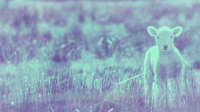 Pastel_Scenes-Goodbye_WIDE-TITLE-3#preset=tg_title3.jpg