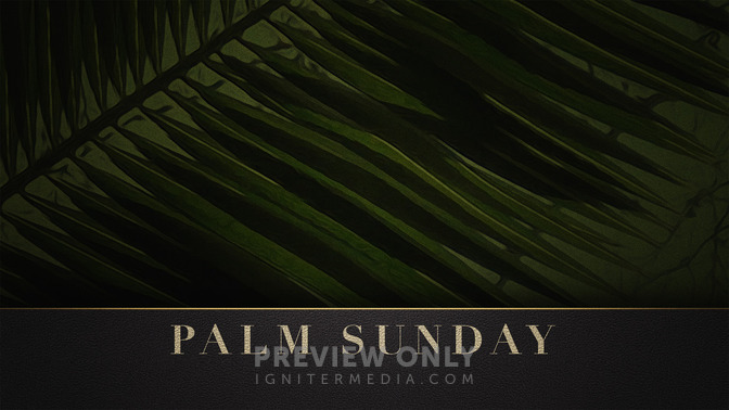 Palm_Sunday_16x9-CONTENT-2#preset=tg_alt2.jpg