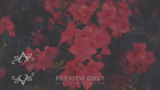 Spring_Swirls_-_Welcome_16x9-CONTENT-3#preset=tg_alt3.jpg