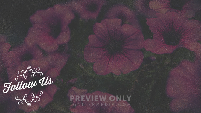 Spring_Swirls_-_Follow_Us_16x9-CONTENT-2#preset=tg_alt2.jpg