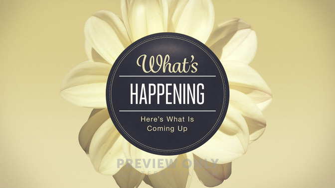 flowers - whats happening