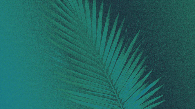 Gradient_2_Easter Gradient_TT3_Palm_Welcome_WIDE#preset=tg_title3.jpg