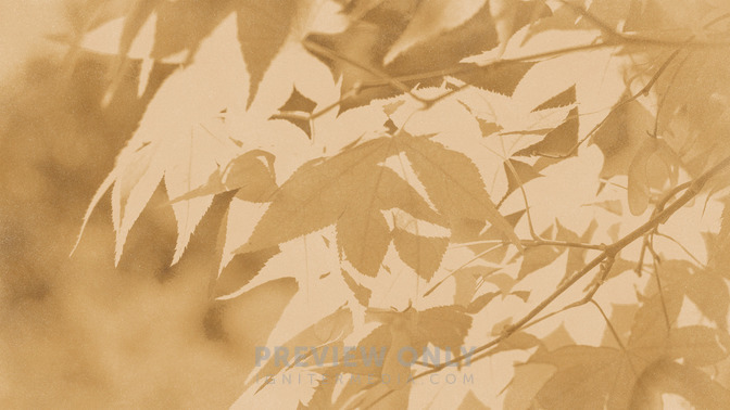 Golden_Harvest_-_Give_Thanks_16x9-BACKGROUND#preset=tg_bg.jpg