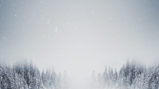 Majestic_Snow_-_Tree_Tops_16x9.jpg