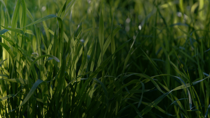 Welcome-WIDE#preset=tg_alt2.jpg