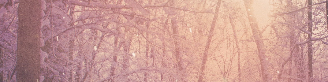 Scenic_Christmas_Forest_MS_1920x480.jpg