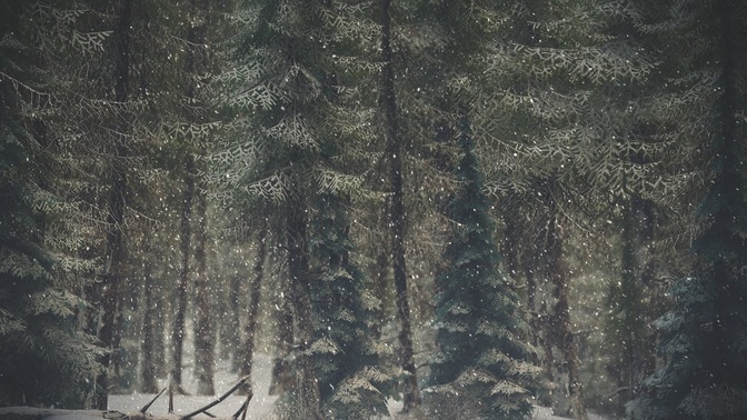 Winter_Wonderland_1_HD.jpg