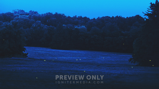 Upcoming-WIDE#preset=tg_title3.jpg