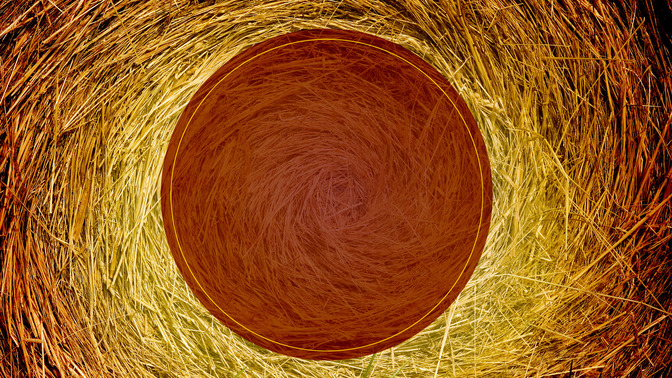 The_Nativity_Story_16x9-TITLE-3#preset=tg_title3.jpg