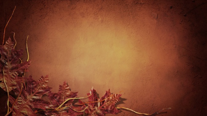Fall_02_16x9.jpg