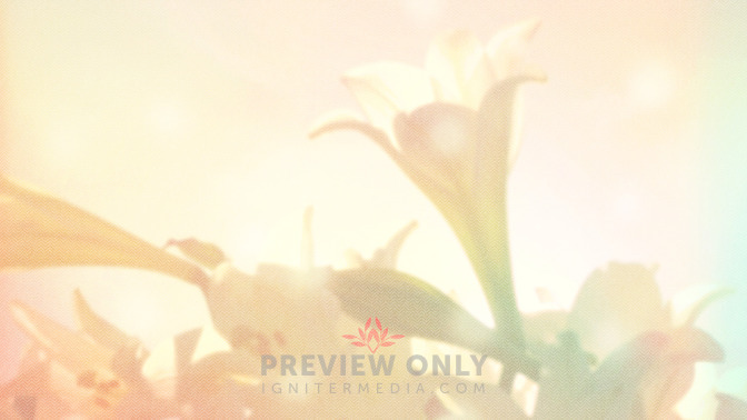 Lilies_-_Thanks_For_Coming_16x9-TITLE-3#preset=tg_title3.jpg