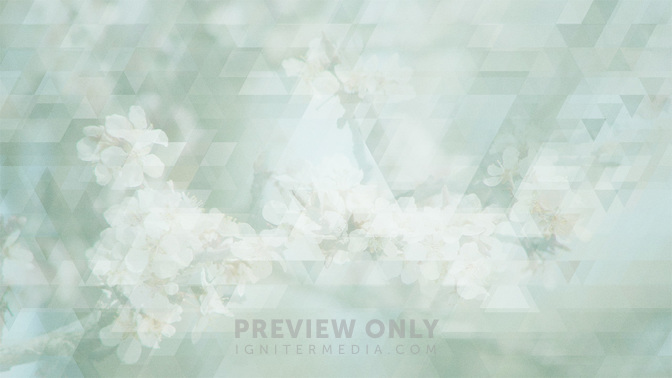 Spring_Shapes_-_Blue_16x9.jpg