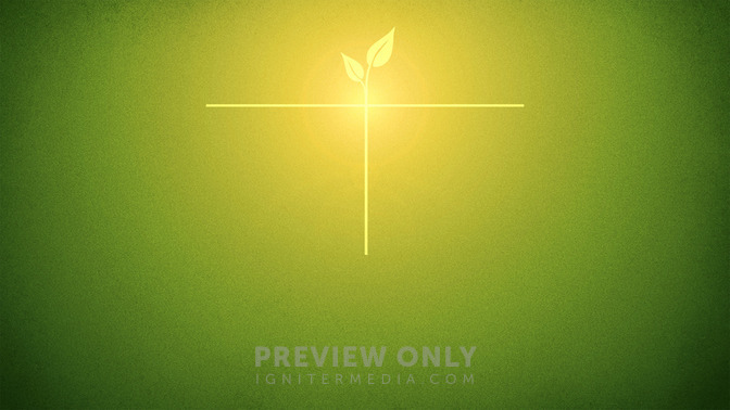 The_Life_of_a_Seed_16x9-TITLE-3#preset=tg_title3.jpg