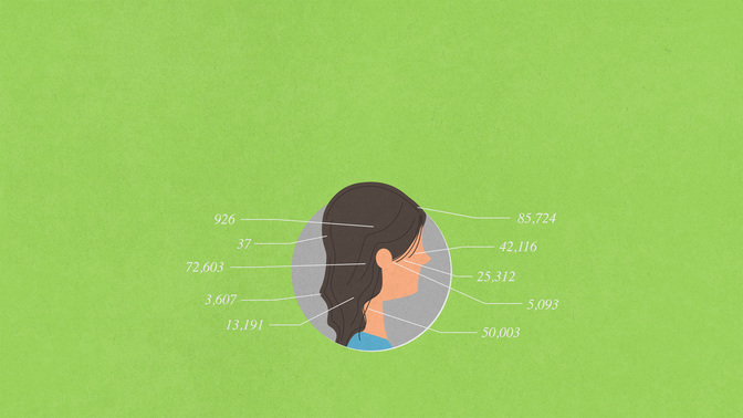 Every_Hair_Numbered_WIDE-TITLE-3#preset=tg_title3.jpg