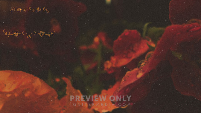 Vida_Abundante_16x9-CONTENT-3#preset=tg_alt3.jpg